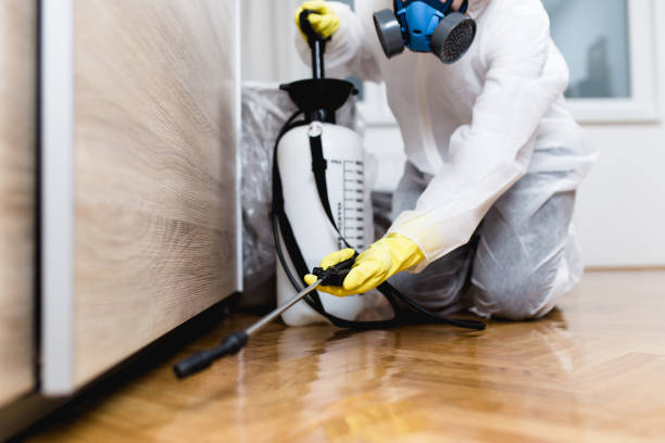 Trusted El Rancho, NM Pest Control Experts