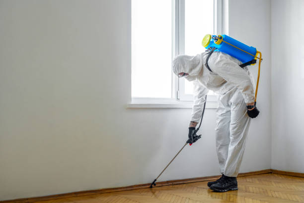 Best Mosquito Control Services  in El Rancho, NM