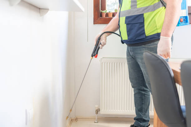 Best Local Pest Control Services  in El Rancho, NM