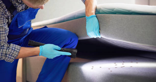 Best Local Pest Control Services  in El Rancho, NM