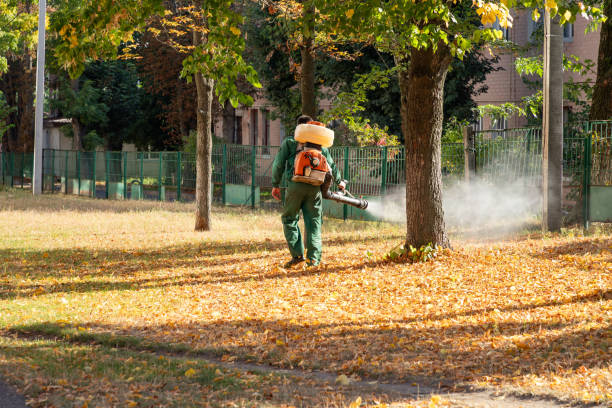 Best Pest Prevention Services  in El Rancho, NM