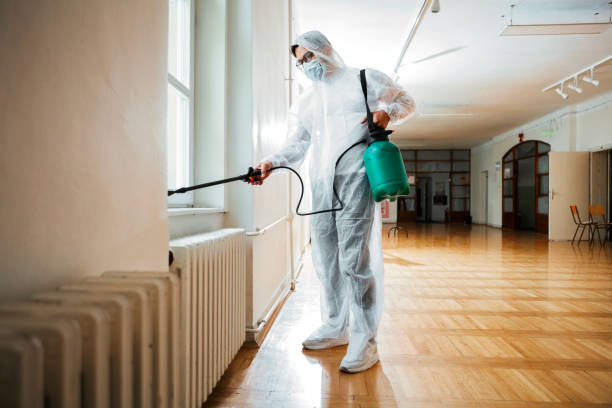 Best Pest Inspection Near Me  in El Rancho, NM